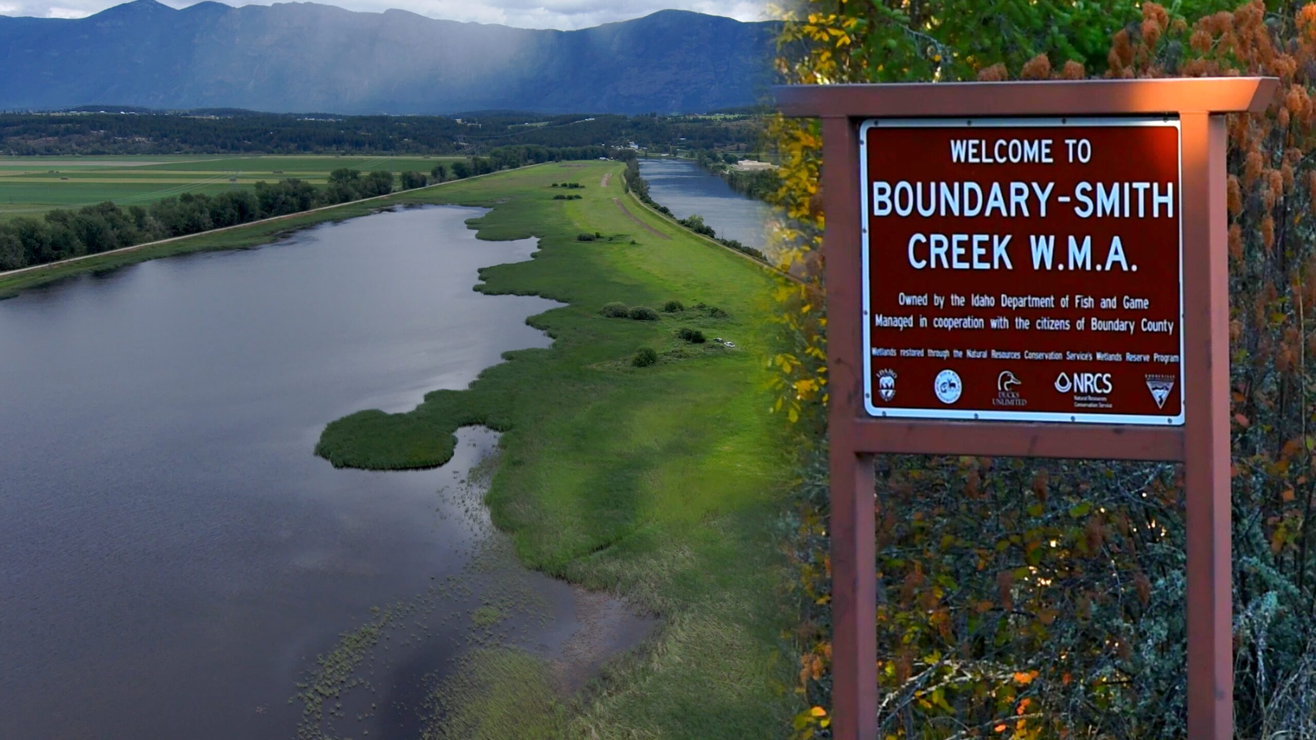Idaho Wetland